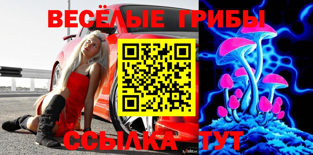 Галлюциногенные грибы ЛСД Касимов